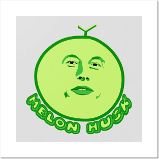 Melon Husk Posters and Art